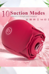 Photoroom-20250224_113404